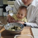 채플린미용실 | 육아일기 241 ~ 250일 / 8개월 아기 스케줄, 이유식 큐브 만들기, 티딩러스크 만들기, 아기 산책