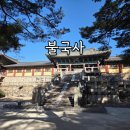 불국사 | 경주 불국사 후기 주차부터 관람 포인트까지 정리