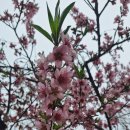 유호공인중개사사무소 이미지