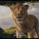 킹 이미지