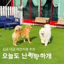 율생농장 | 김포애견동반카페 추천 &#39;오늘도 난 삐딱하개&#39;
