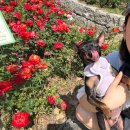딜라이트프로젝트(주) | 5월 셋째주 / 내가 제일 좋아하는건 주4일제