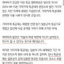 가미카제 발언한 일본 탁구선수 이미지