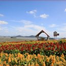 신안밧데리 이미지