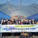 블루베리컨설팅