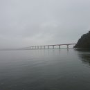 사천대교 부근
