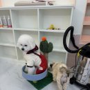 아르펫살롱 이미지