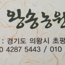 초평로 이미지
