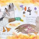 철새-1 | 광명 유아·초등 미술학원｜관찰력 키우는 철새 세밀화 드로잉 수업 후기 🕊️✨