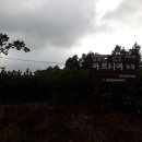 다비드아로니아농장