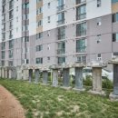 안성공원 삼층석탑 이미지