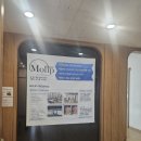 전통약손