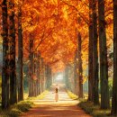 나주자원 이미지