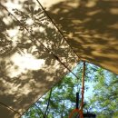 침벽캠핑장 이미지