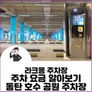 동탄호수공원 라크몽 네일 누리다 주차 가격 동시시술 애견동반