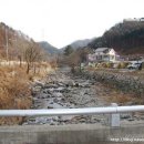 늘푸른쉼터캠핑장 이미지