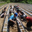 선회농장 이미지