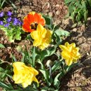 삿갓봉근린공원 이미지