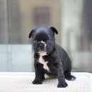 아이러브펫 동물병원 이미지