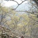 수원지민박 이미지