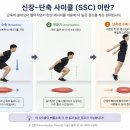 37.5℃ 트레이닝 센터 | 메트릭&amp;부산 경기력 향상] 여름방학 특강 부산 유소년 퍼포먼스 트레이닝, 37.5도 트레이닝센터에서!