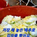 이십사절기
