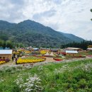 한계령휴게소 | [강원 인제&amp;양양] 가을 여행 코스 2025 인제가을꽃축제, 한계령휴게소 후기