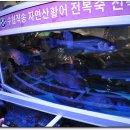 새천년횟집