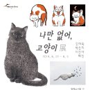 나만없어고양이 이미지