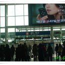 이조현수막