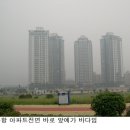 국제정원석 이미지