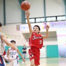 명진초교 이미지