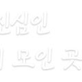 세이브 축산유통
