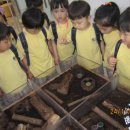 모전초등학교병설유치원 이미지