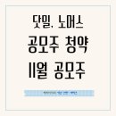 닷밀,노머스 공모주청약. 11월공모주.