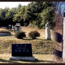 류사눌묘 이미지