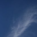 붕새날다 이미지