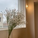 러벌스스튜디오신부점 이미지
