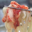 만나본가 | 부산 동래구 먹거리 맛집 전통본가 밀면 전문점｜시락국밥·칼국수·만두 모두 맛본 후기