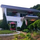 남연허브 이미지