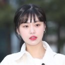 수진