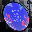 [서울/금천] 가산동 술집 잔비어쓰 생맥주
