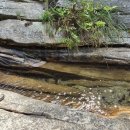 당고개배드민턴장 | 수락산 등산코스 등린이와 함께한 등산후기(주말산행)