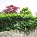 주 酒소 이미지