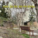 영상으로 떠나는 힐링 여행 수요반 | 제주 서귀포 가볼만한곳 머들정원 목련 명소 감성 힐링 카페
