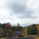 유림-1068 이미지