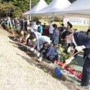 동안치매안심센터 이미지