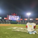 부산 사직야구장 3루 원정 에비뉴엘석 시야 롯데 자이언츠 홈구장에서 가장 투자할만한 가치가 있는...