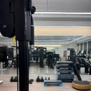 더건강한피티 | 탄현 헬스장 벨르핏 PT스튜디오 시설 및 피티 후기