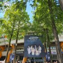 줌엔터테인먼트 | YG엔터테인먼트 걸그룹 BABYMONSTER 월드투어 콘서트 <CHOOM> 2일차 후기
